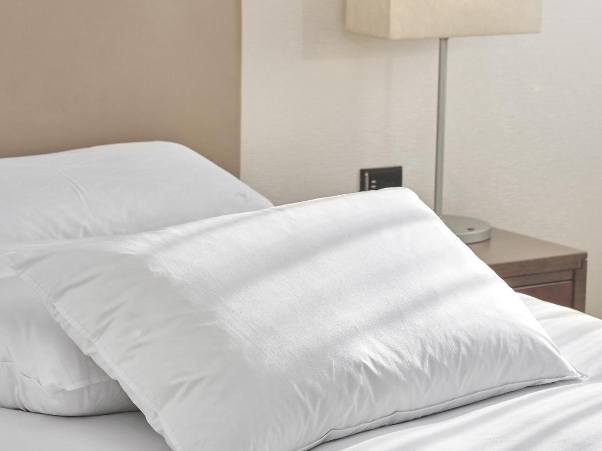 Windsor Hotel Taichung Eksteriør billede A pillow